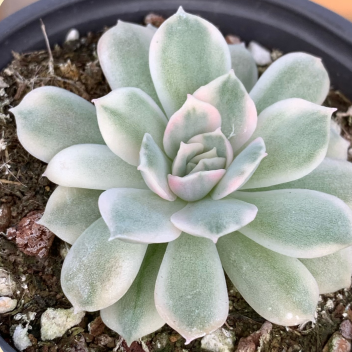 1730354056193 1730354056193